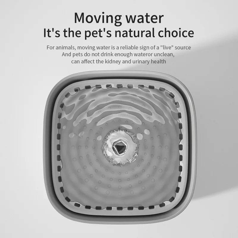 Fontaine à Eau Automatique pour Chat & Chien  — Hydratation Silencieuse & Continue